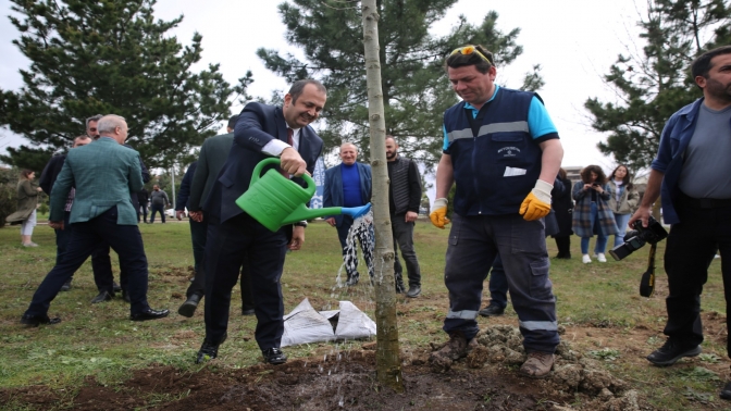 Başiskele Yeniköy’de 1000 ağaç toprakla buluştu