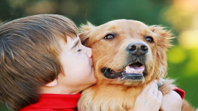 Bilimsel inceleme: Köpek sevgisi ağrıyı azaltıyor