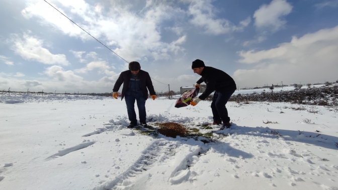 Çayırova’da sokak hayvanları yalnız değil