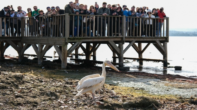 Dünya Sulak Alanlar Günü, ‘Flamingo Şenliği’ ile kutlandı
