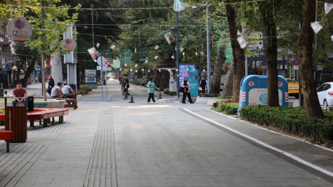 İzmit’te ağaçlar pişmaniye açtı