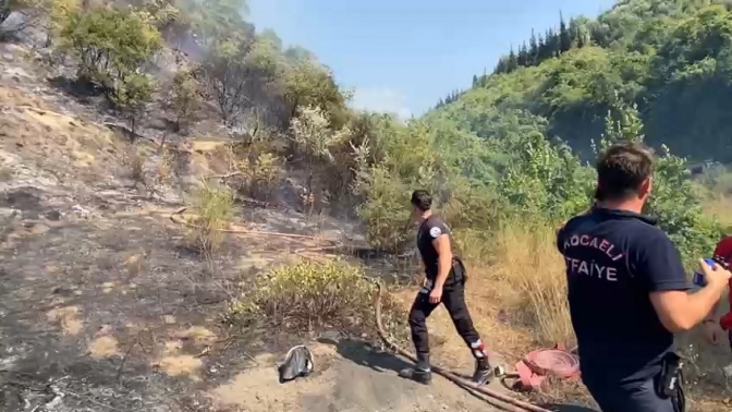 Körfezde orman yangını