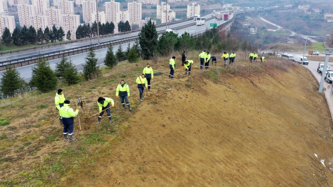 Şehir Hastanesi yolunda çevre düzenlemesi