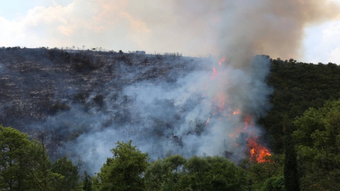 Tavşancılda ormanlık alanda yangın çıktı