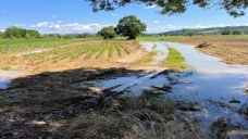 Büyükşehir’den tarlaları selden zarar gören çiftçilere destek