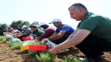 Kooperatif ve Birliklere Yüzde 75 Hibe Desteği