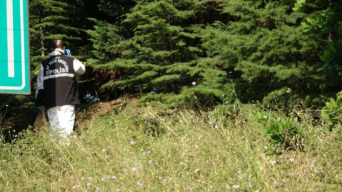 Yeşillik alanda çürümüş ceset bulundu