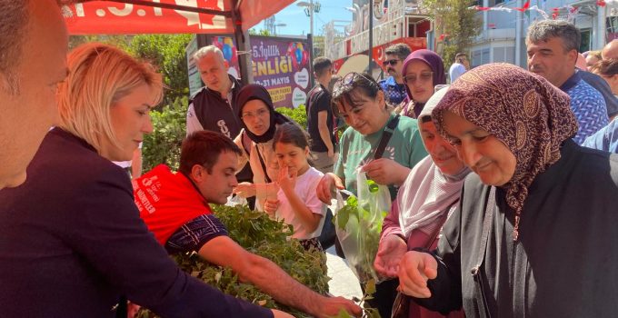 İzmit Belediyesinden halka fide desteği