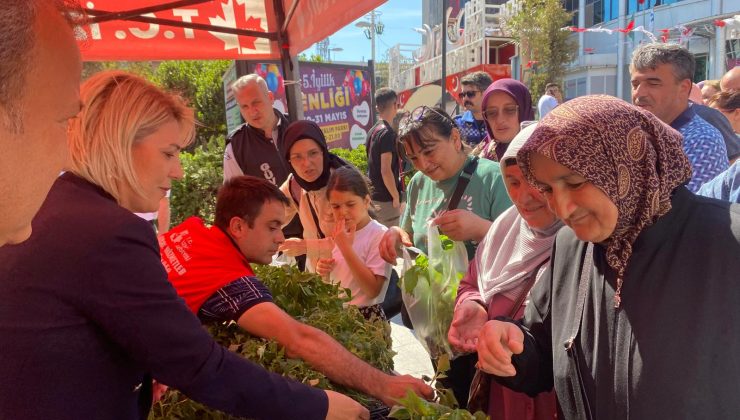 İzmit Belediyesinden halka fide desteği