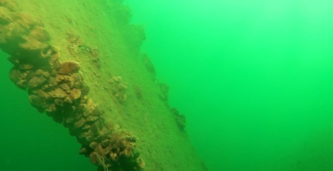 Sapanca Gölü’ne düşen uçağın enkazı 53 yıl sonra yeniden görüntülendi