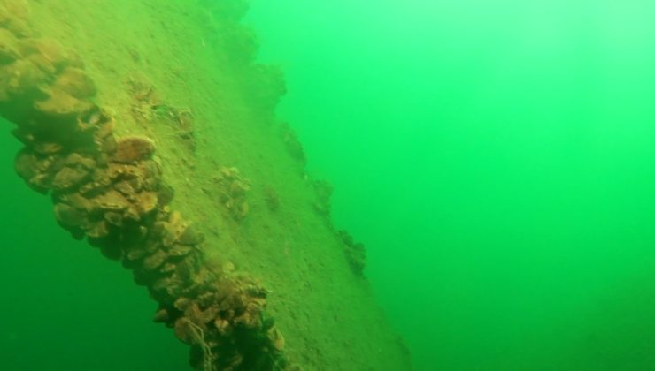 Sapanca Gölü’ne düşen uçağın enkazı 53 yıl sonra yeniden görüntülendi