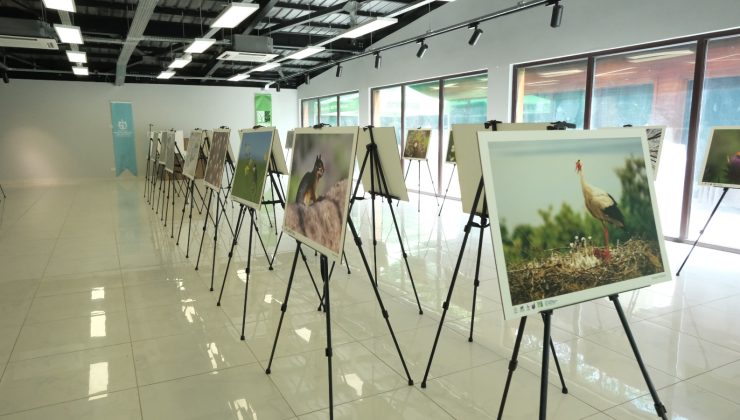 Bu fotoğraf sergisi Ormanya’da görsel şölen sunuyor