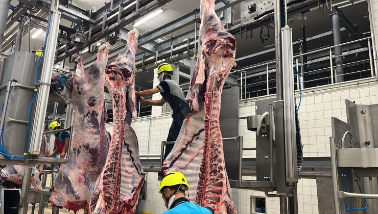 Sakatatları açık halde çöpe atmayın