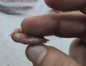 İzmit’te Skandal! Marketten Alınan Kıymanın İçinden Ne Olduğu Belirsiz Parçalar Çıktı!