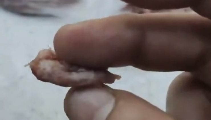 İzmit’te Skandal! Marketten Alınan Kıymanın İçinden Ne Olduğu Belirsiz Parçalar Çıktı!