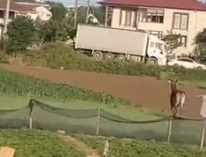 Gece Görülüyordu, Bu Kez Gündüz Ortaya Çıktı