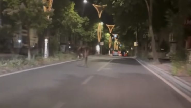 Gece Yarısı Kurbanlık Körfezkent Yolunda Görüntülendi
