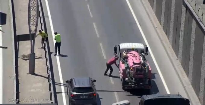 Seka Tüneli Çıkışında Trafiği Bir Yavru Kedi Durdurdu
