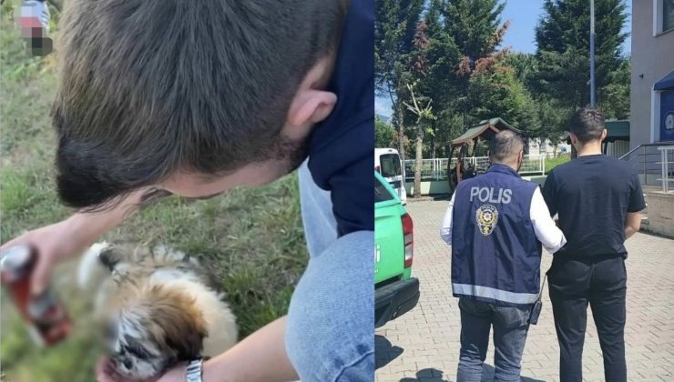 Zanlı, daha öncede bir köpeğe içki içirmiş