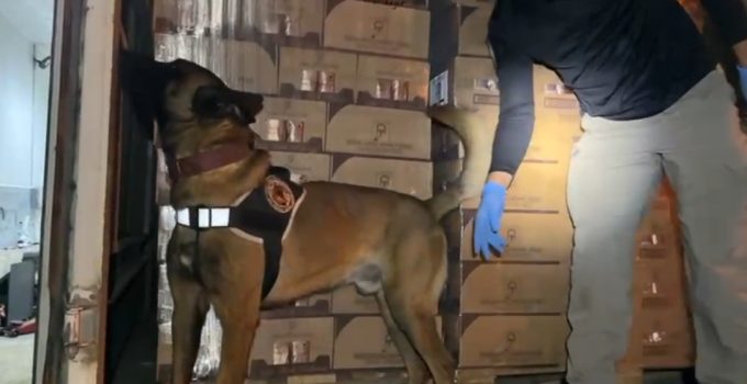 TEM’de durdurulan araçtan 9 kilo kokain ele geçirildi