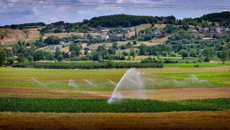 Büyükşehir, kırsal kalkınmada lokomotif oluyor