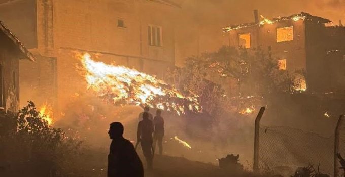 Sakarya’daki Orman Yangınına “atak” Sebep Oldu: 1 Kişi Tutuklandı