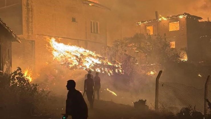Sakarya’daki Orman Yangınına “atak” Sebep Oldu: 1 Kişi Tutuklandı
