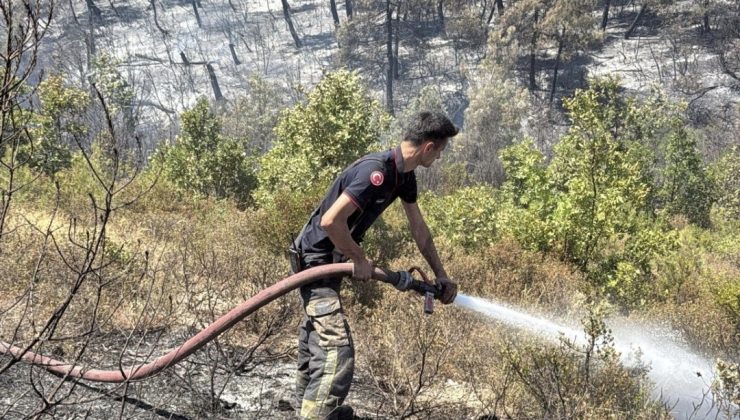 Kocaeli İtfaiyesi, Bursa’daki Orman Yangınına Destek İçin Harekete Geçti