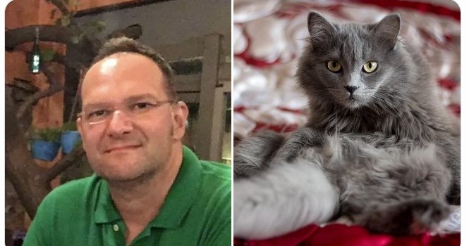 Sapanca’da Kedi Tüyü,Can Aldı