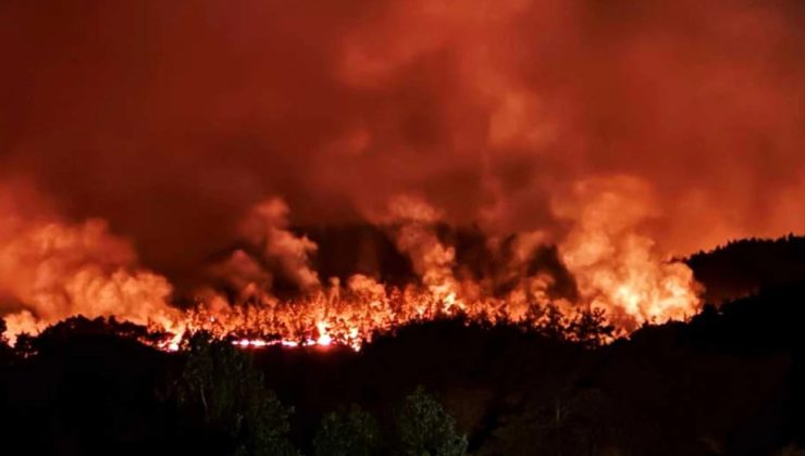 Sakarya Geyve ve Pamukova’da Orman Yangını: Mahalleler Tahliye Edildi