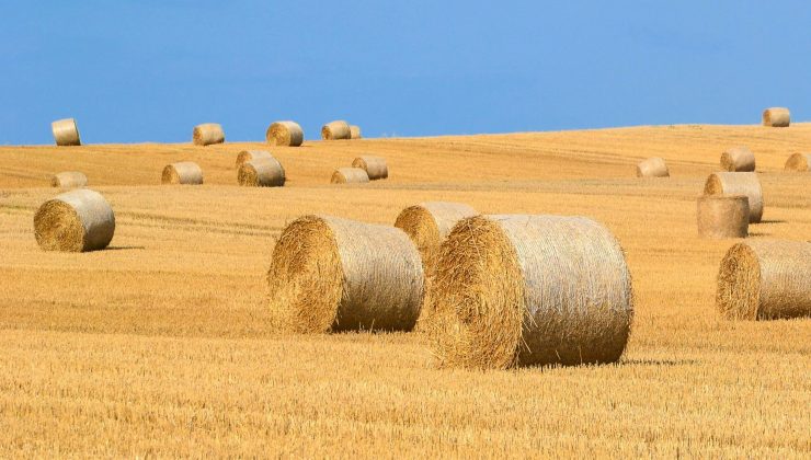 İki Yıl Üst Üste Ekilmeyen Tarım Arazileri Kiraya Verilecek