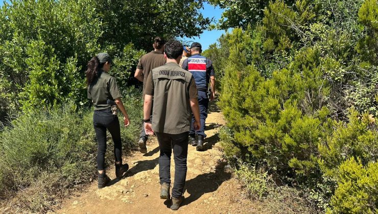 Kandıra’da İzinsiz Çadır Kuranlara Para Cezası