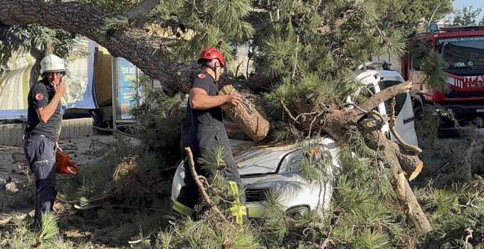 Gebze’de Şiddetli Rüzgar Aracın Üzerine Ağaç Devrildi