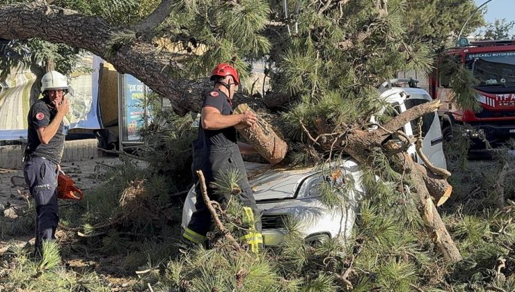 Gebze’de Şiddetli Rüzgar Aracın Üzerine Ağaç Devrildi