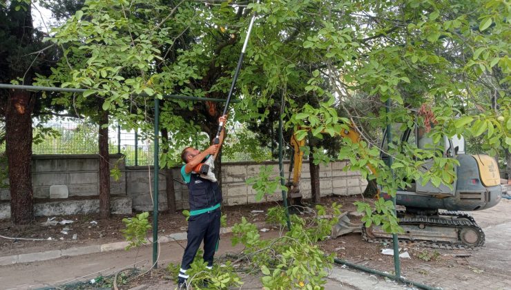 Başiskele’de Budanan Ağaç Dalları Dar Gelirli Ailelere Yakacak Oluyor
