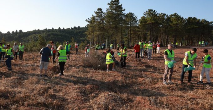 Derince’de Orman Yangınlarına Karşı Örnek Çalışma