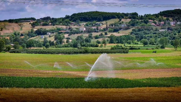 Kandıra’da Yllık Hasat,1’den 6’ya Çıktı