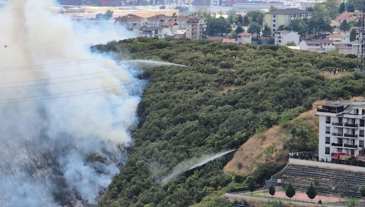İzmit’te Ormanlık Alanda Yangın: Kontrol Altına Alındı