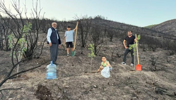 Yanan Alana Gönüllü Fidan Diktiler