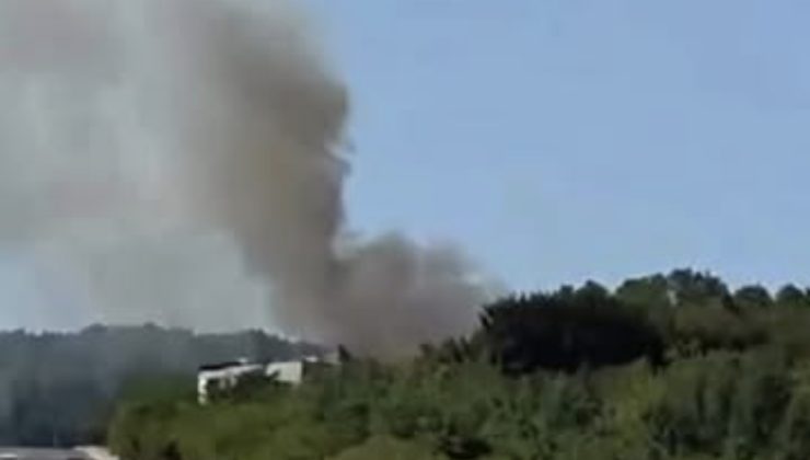 İzmit’te Orman Yangını Kontrol Altına Alındı