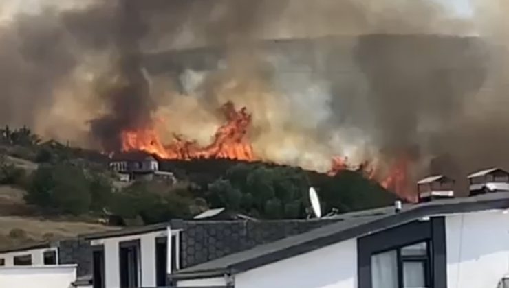 Derince Çınarlı’da Orman Yangını