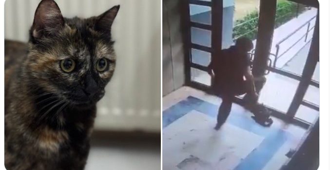 Cezve’yi vahşice öldüren zanlı tutuklandı
