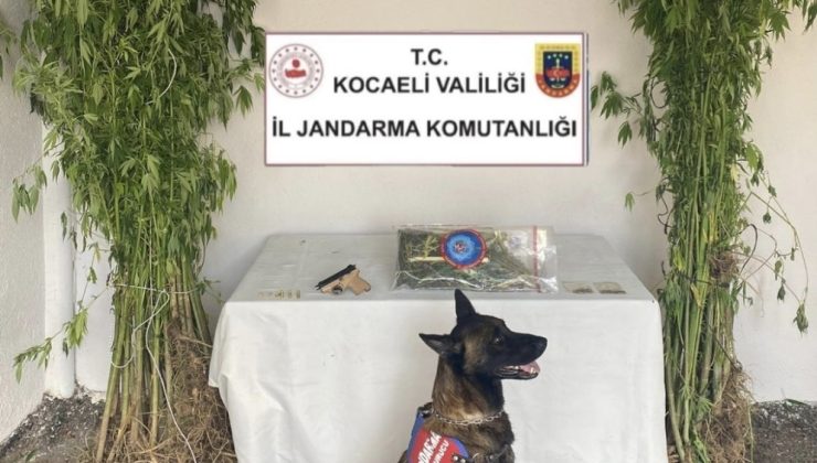 Kartepe’de Uyuşturucu Operasyonu: 1 Tutuklama