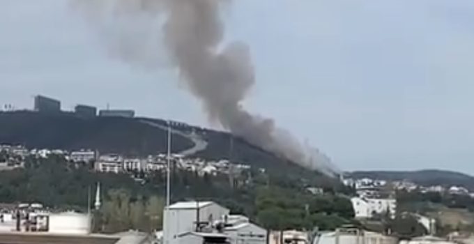 İzmit’te Ağaçlık Alanda Yangın Korkuttu