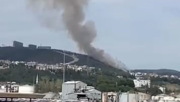 İzmit’te Ağaçlık Alanda Yangın Korkuttu